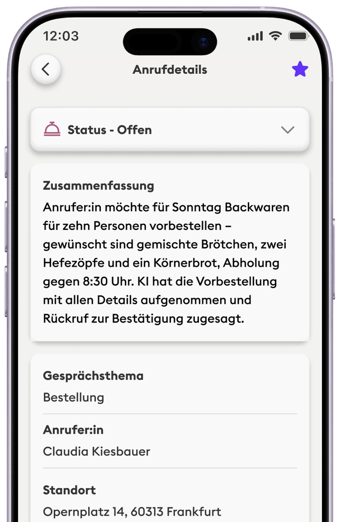 Neoling – Anrufdetails mit Zusammenfassung