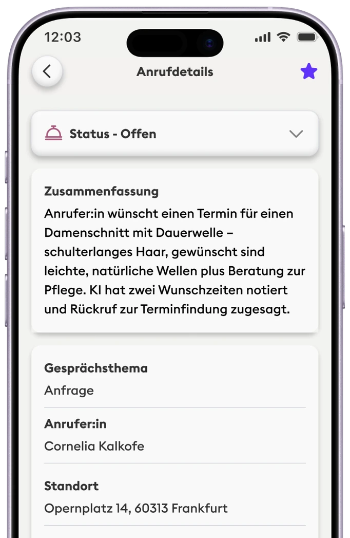 Neoling – Anrufdetails mit Zusammenfassung