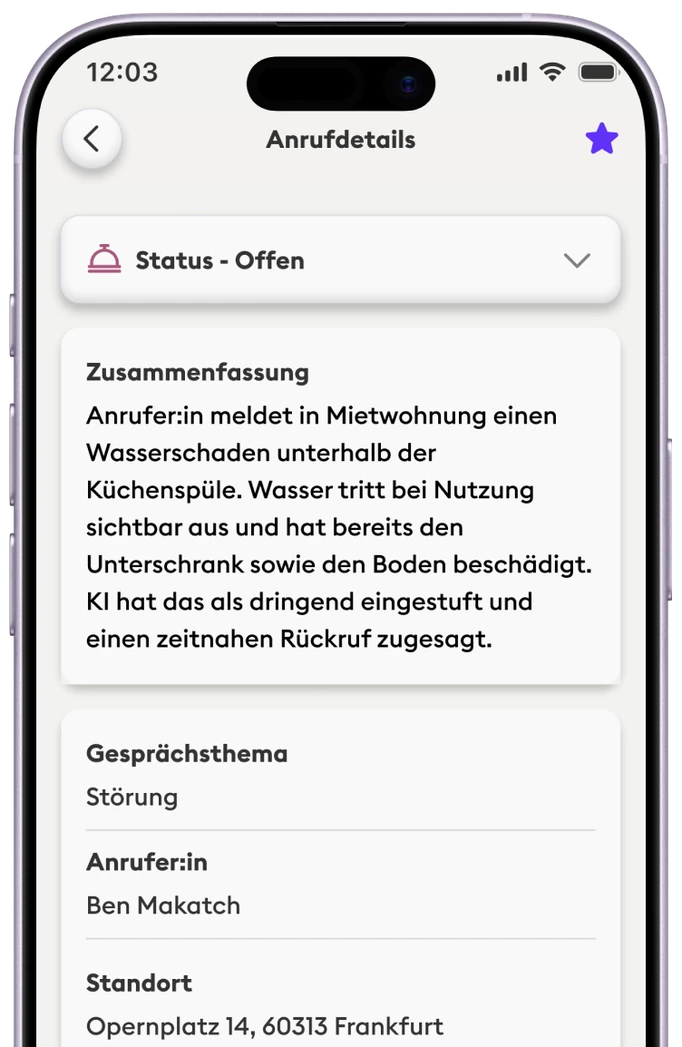 Neoling – Anrufdetails mit Zusammenfassung